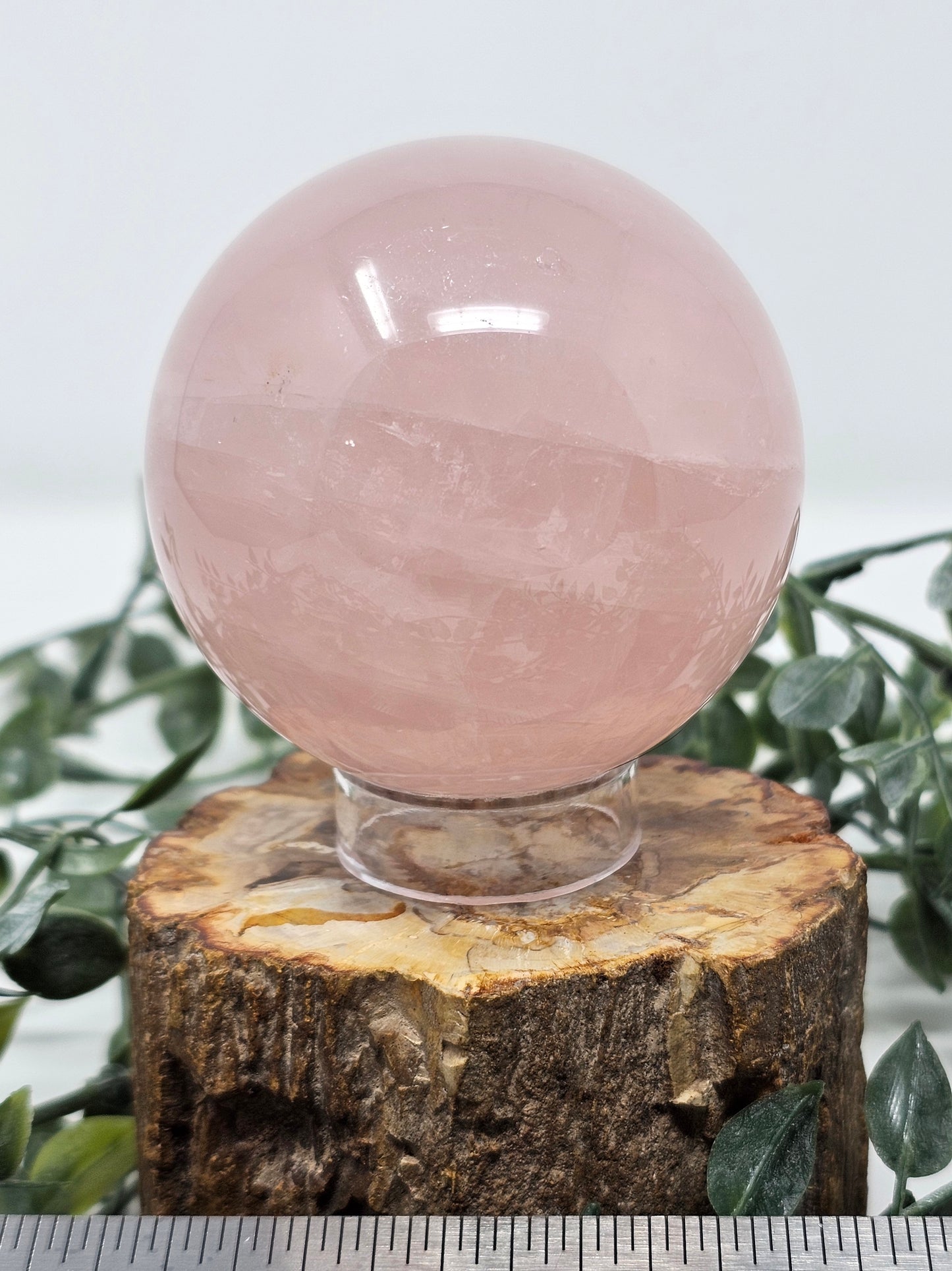 Starlight Rose Quartz Sphere with Asterism