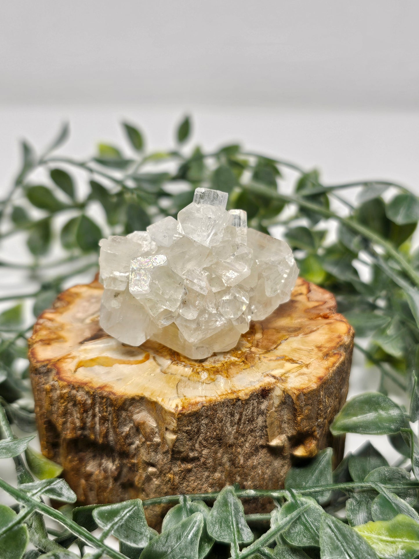 Apophyllite Specimen