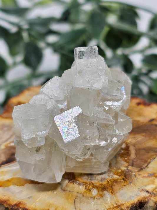 Apophyllite Specimen