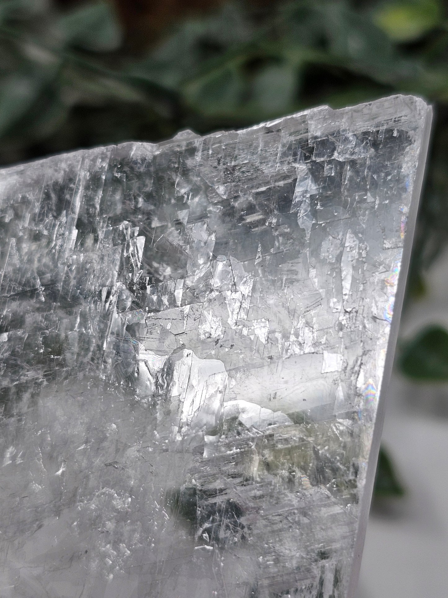 Window Selenite Slab